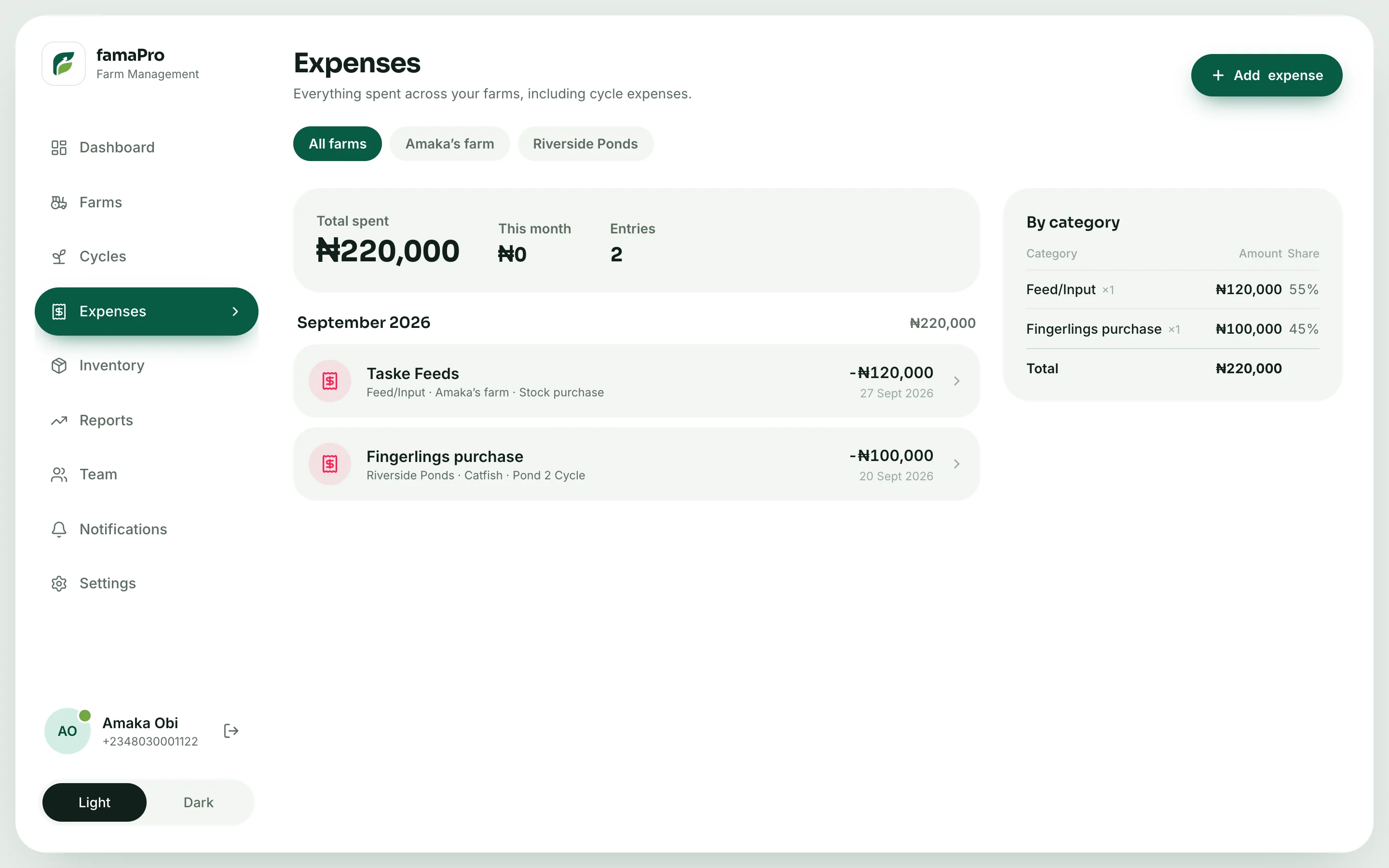 famaPro portal expenses ledger grouped by month with a by-category table