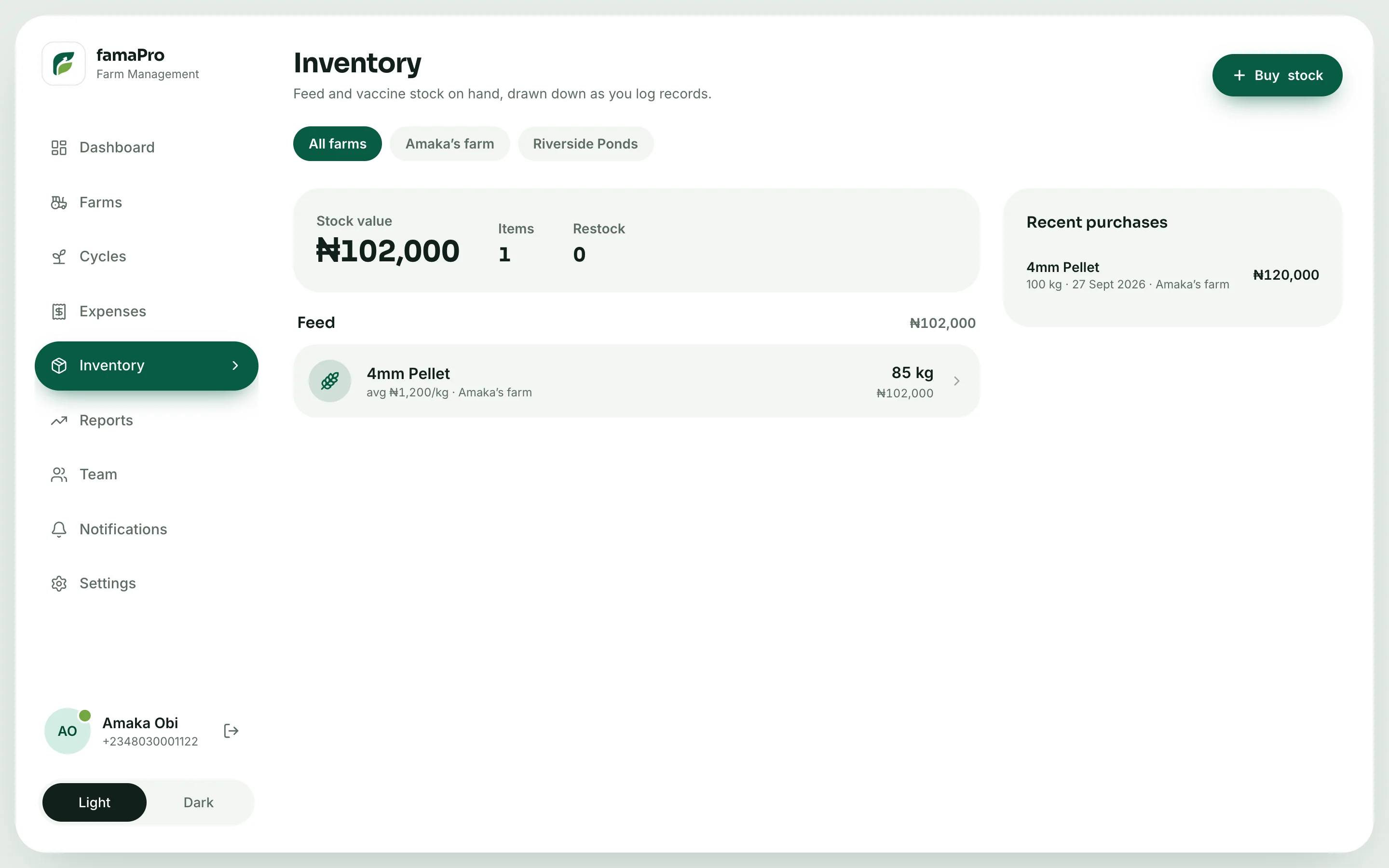famaPro portal inventory page showing stock value and items
